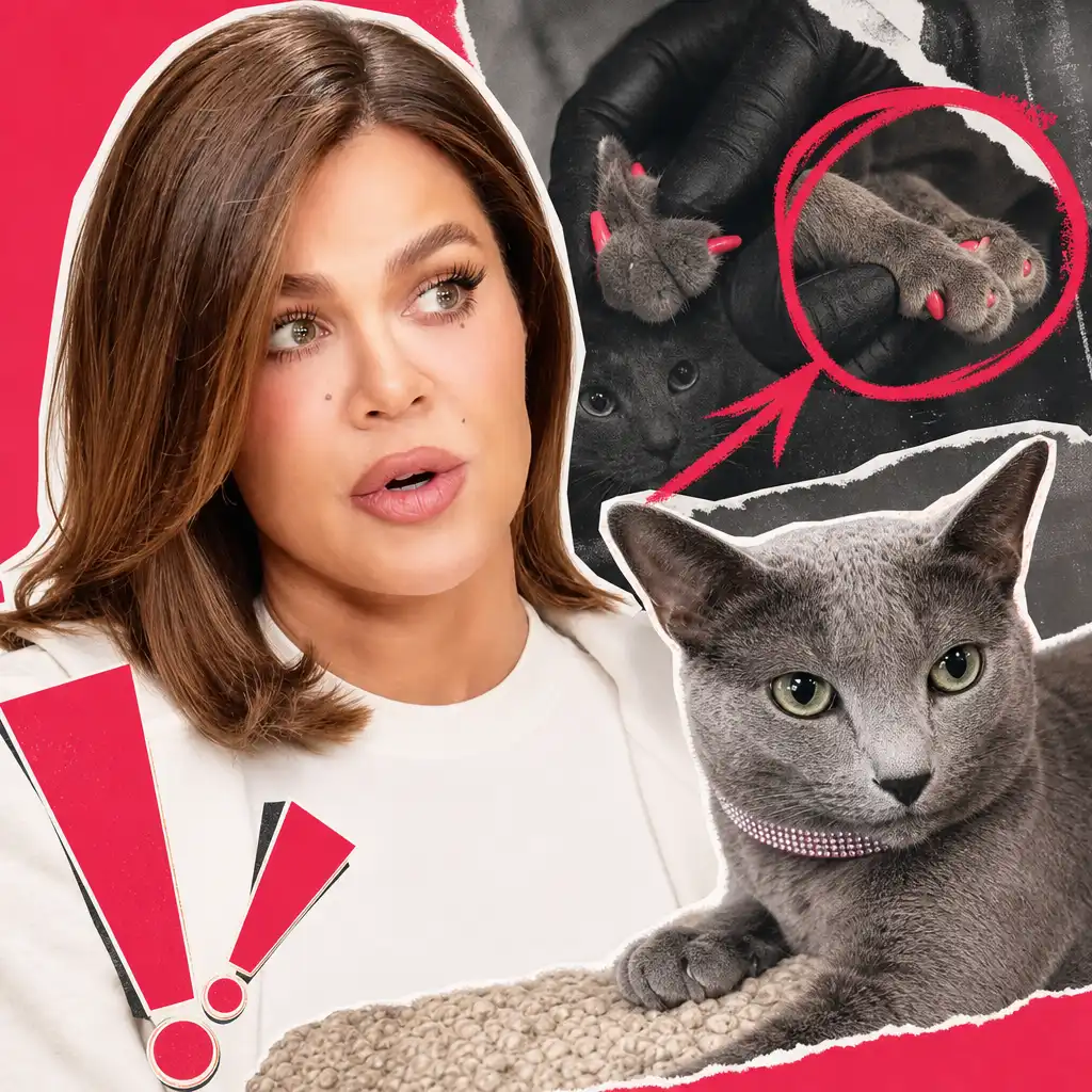 Khloé Kardashian Says She Regrets Declawing Her Cats After Being “Misdirected”