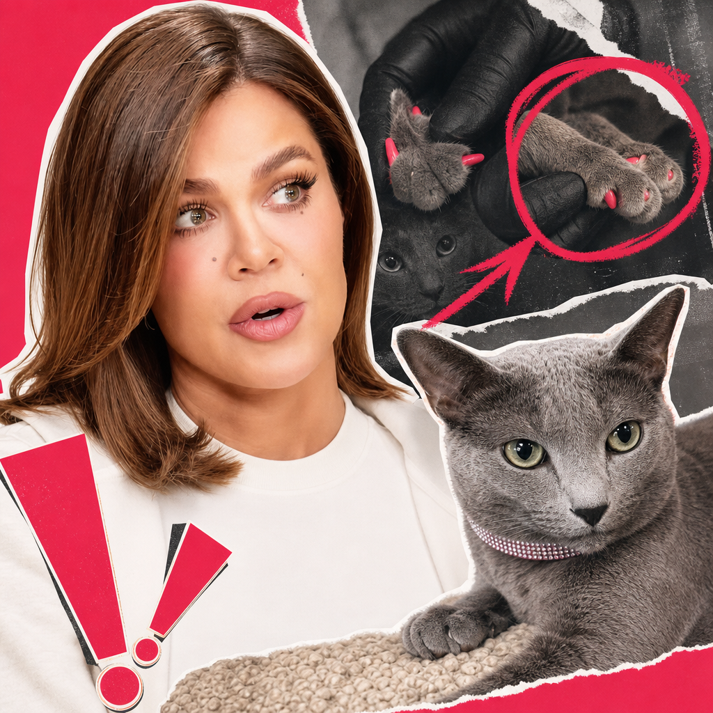 Khloé Kardashian Says She Regrets Declawing Her Cats After Being “Misdirected”