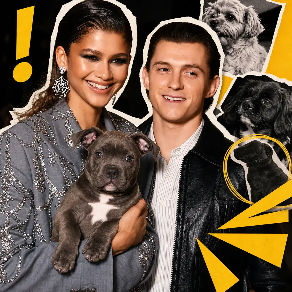 Zendaya and Tom Holland’s New Dog Joins Family
