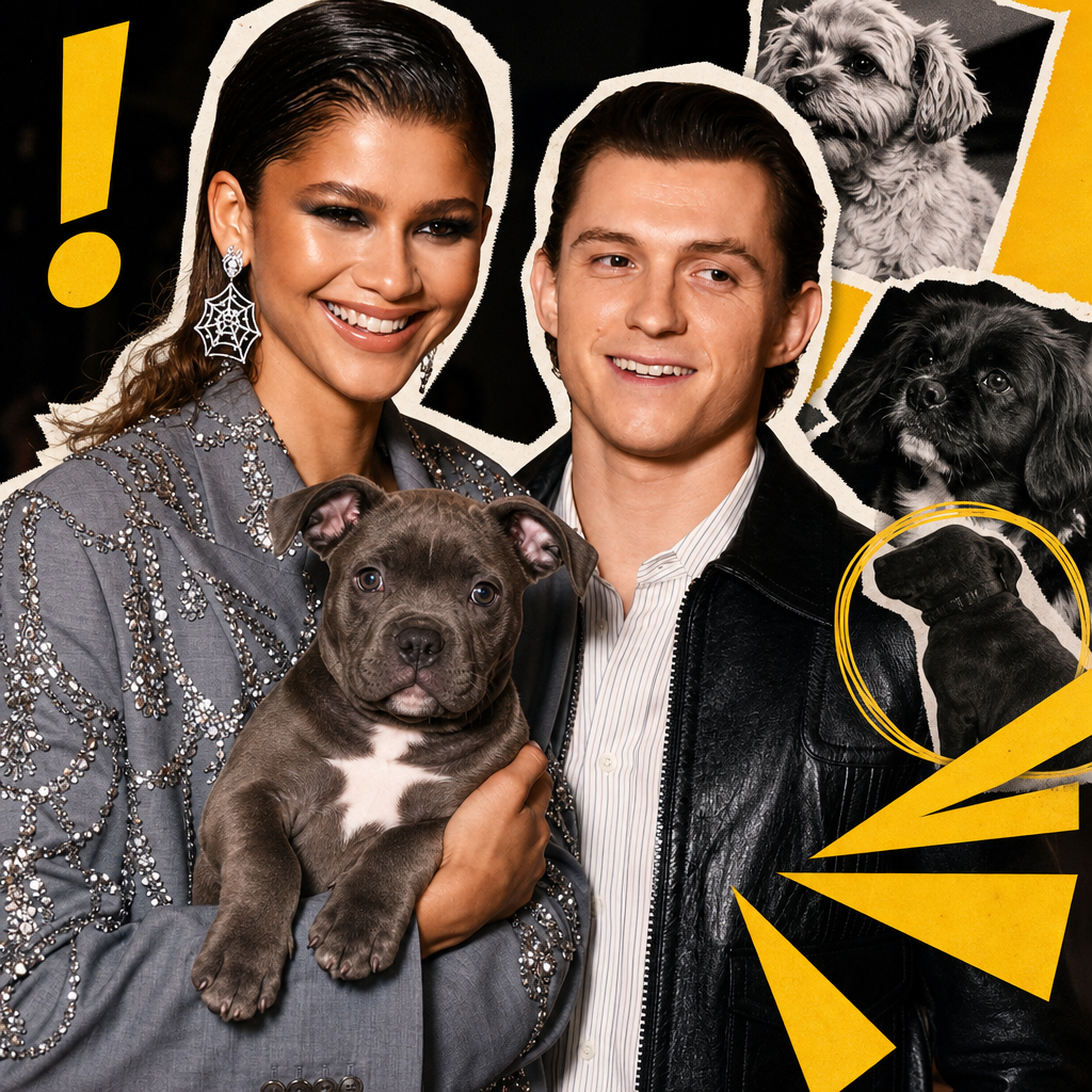 Zendaya and Tom Holland’s New Dog Joins Family